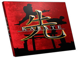 Karate 3D
