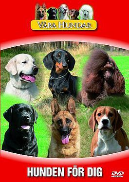 V�ra Hundar - Hunden F�r Dig