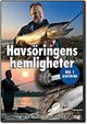 Havs�ringens Hemligheter, Del 1 - Kustspinn