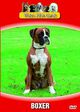 V�ra Hundar - Boxer