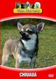 V�ra Hundar - Chihuahua