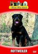 V�ra Hundar - Rottweiler
