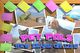 Pet Pals - New Leash on Life